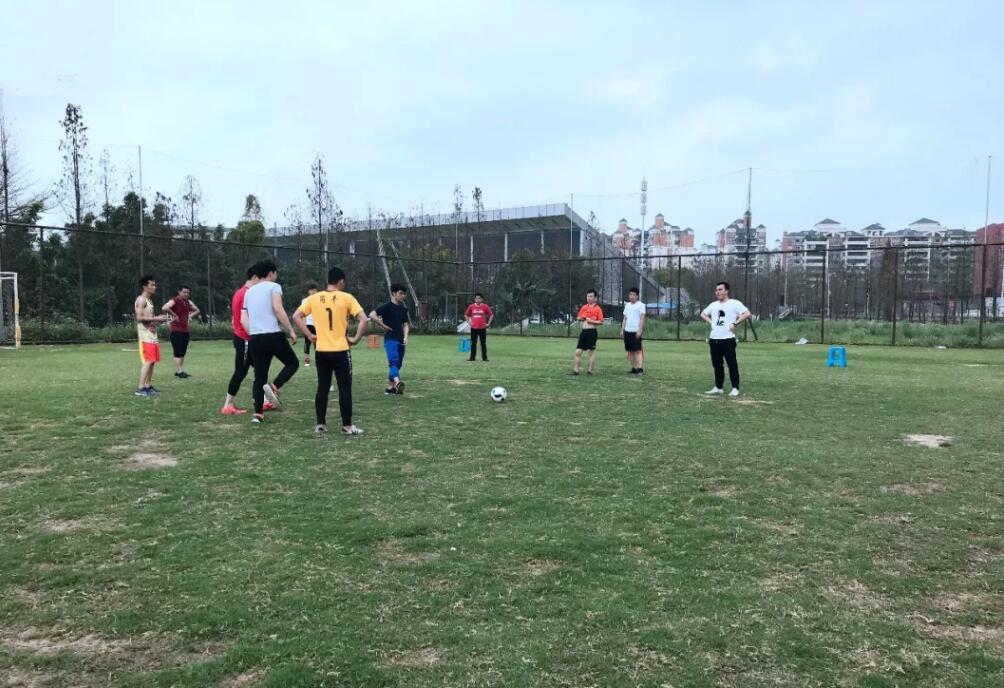 探花视频在线观看探花在线播放足球比賽
