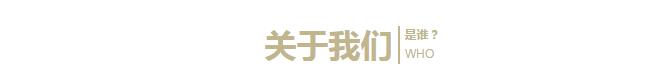 探花视频在线观看探花在线播放