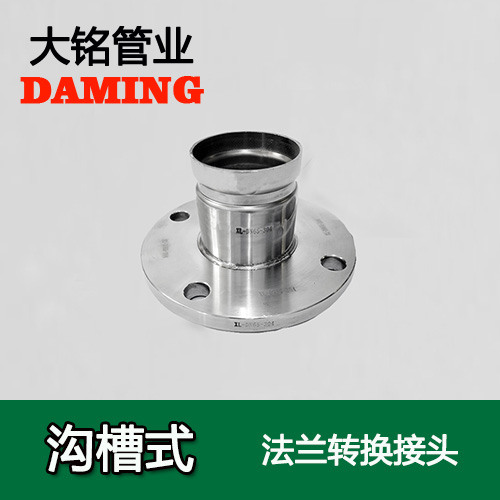 DN250 溝槽式探花在线播放法蘭轉換直通接頭（304 316L）