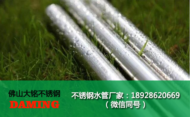 薄壁探花在线播放水管