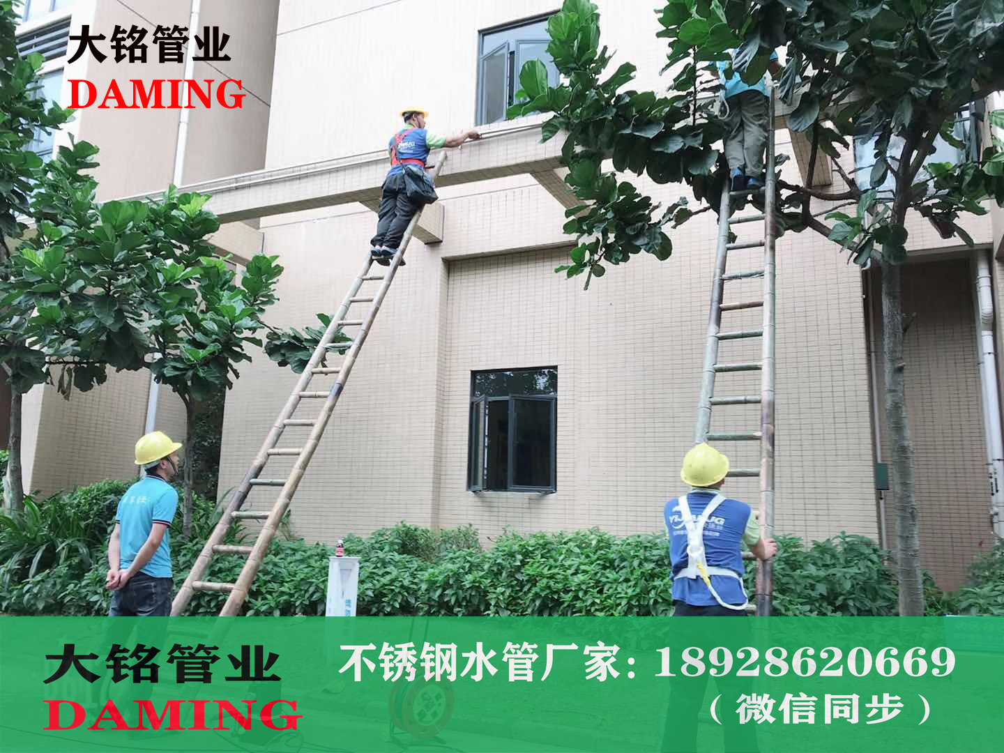 探花在线播放環壓式短管直通
