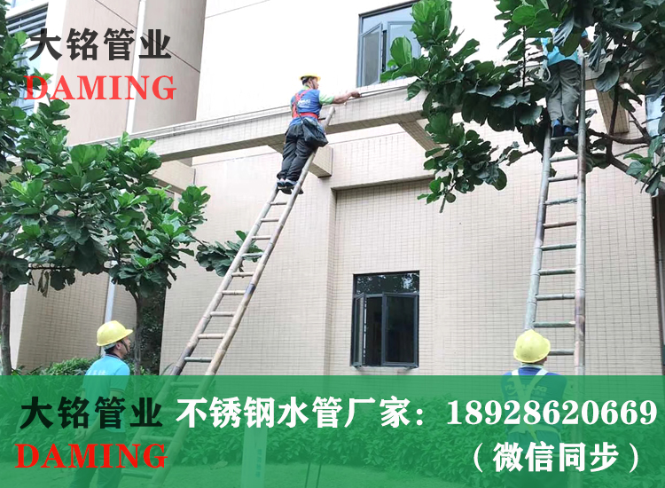 薄壁探花在线播放給水管