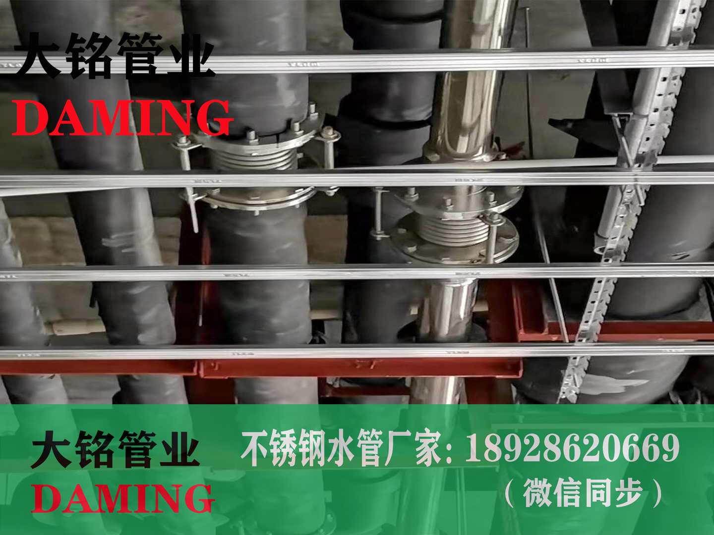 法蘭式探花在线播放波紋補償器