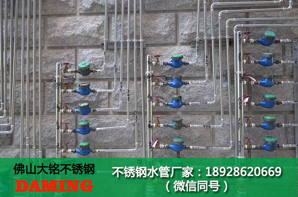 探花在线播放外牙彎頭