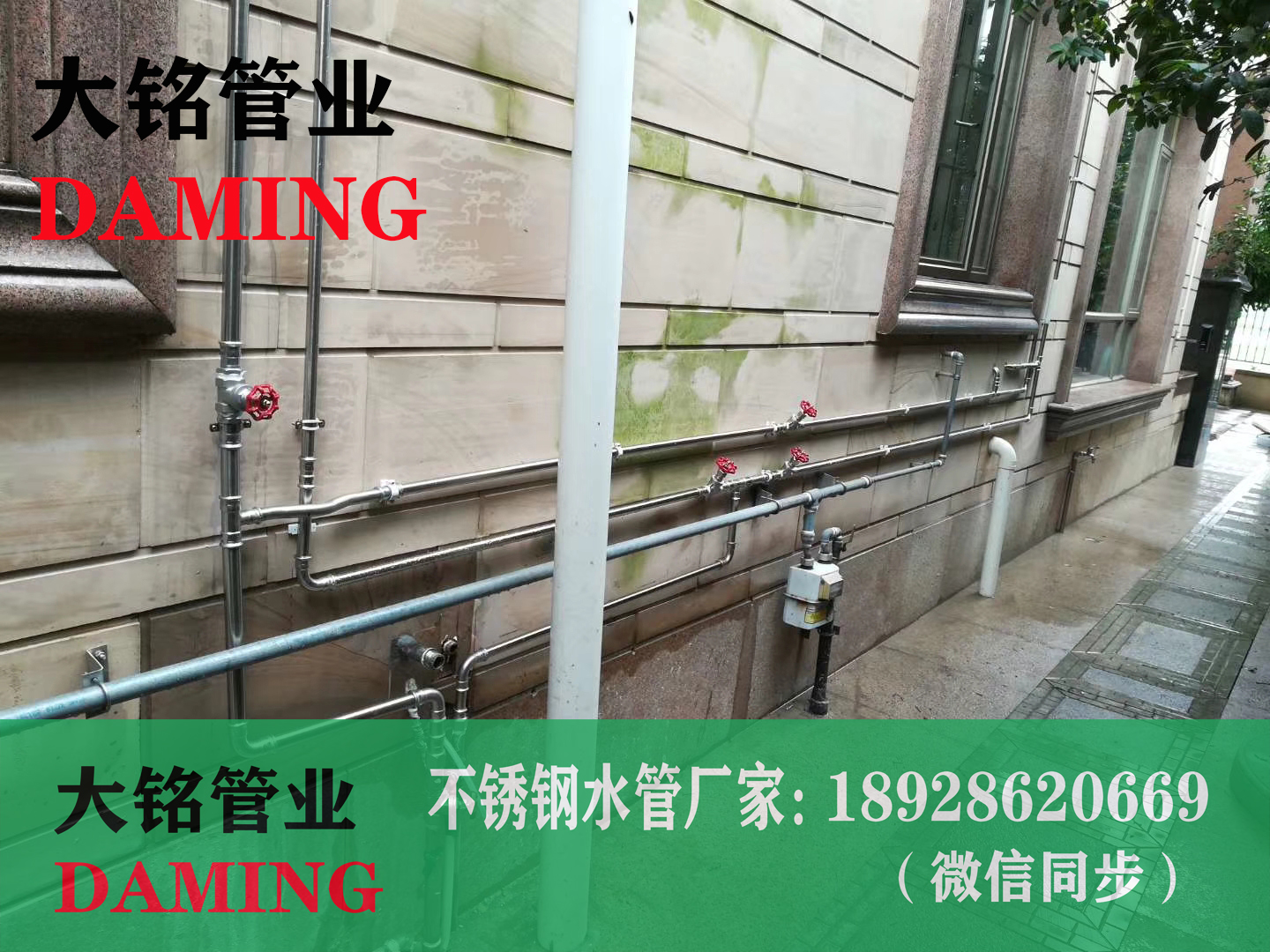 探花在线播放給水管