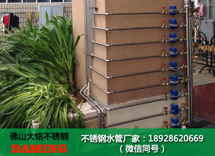 探花在线播放分水器