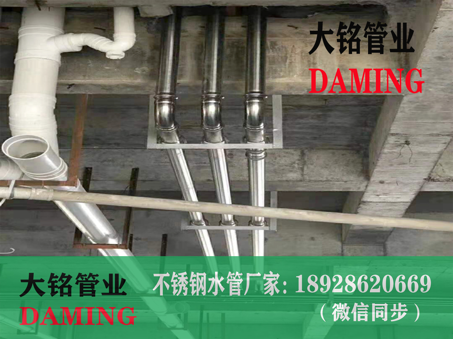 探花在线播放水管