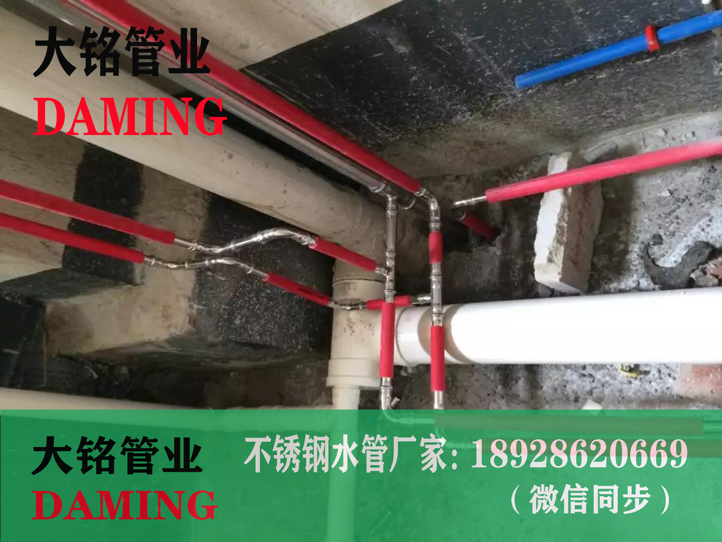 316L探花在线播放水管彎頭