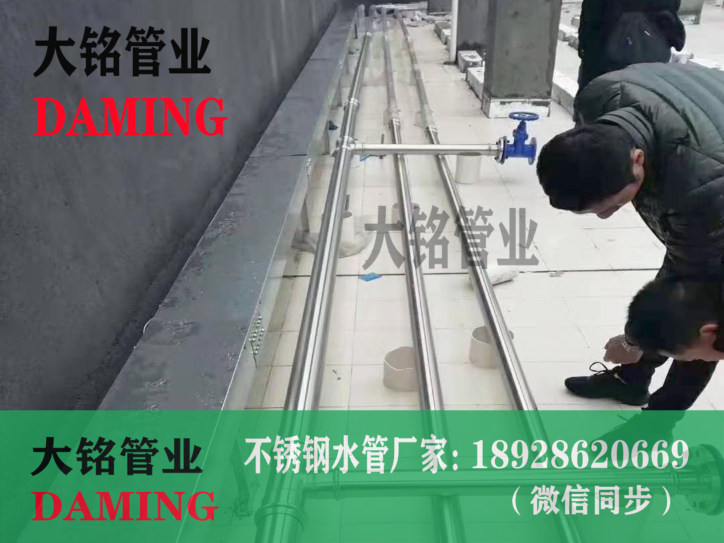 探花在线播放給水管