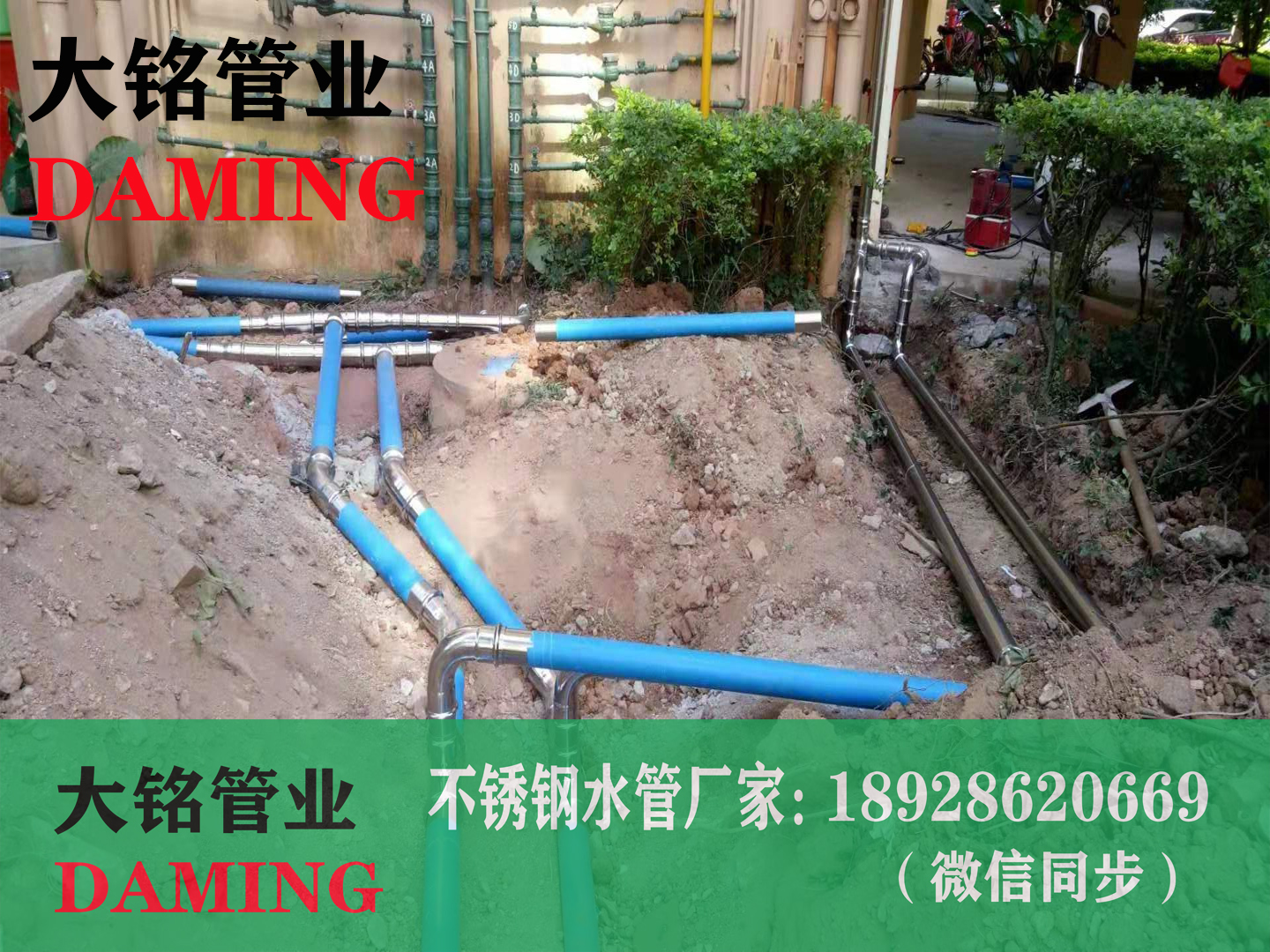 探花在线播放水管彎頭